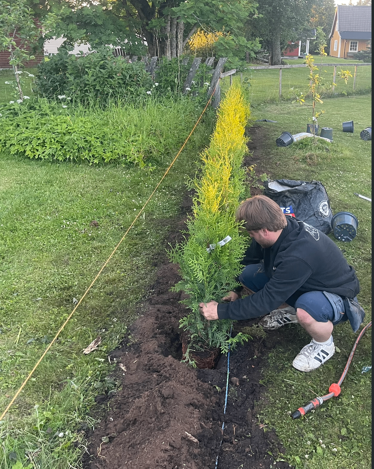 Prosjekt 5 — Planting