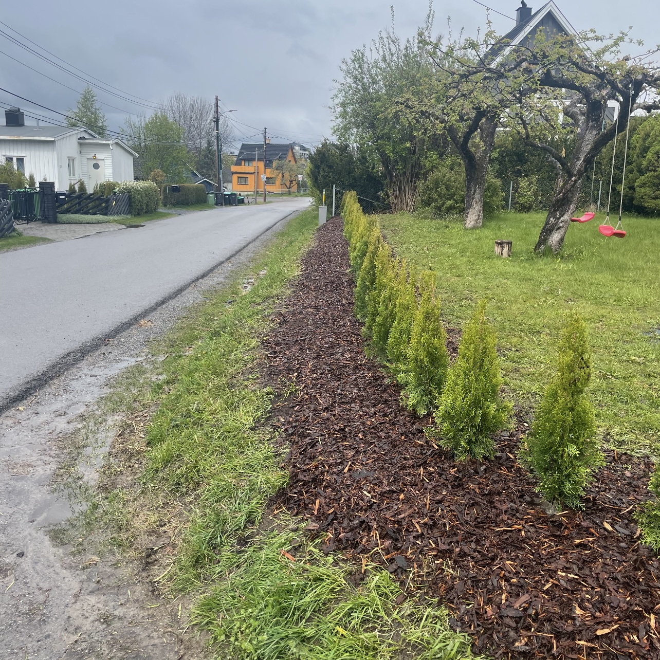 Hekkeplanting