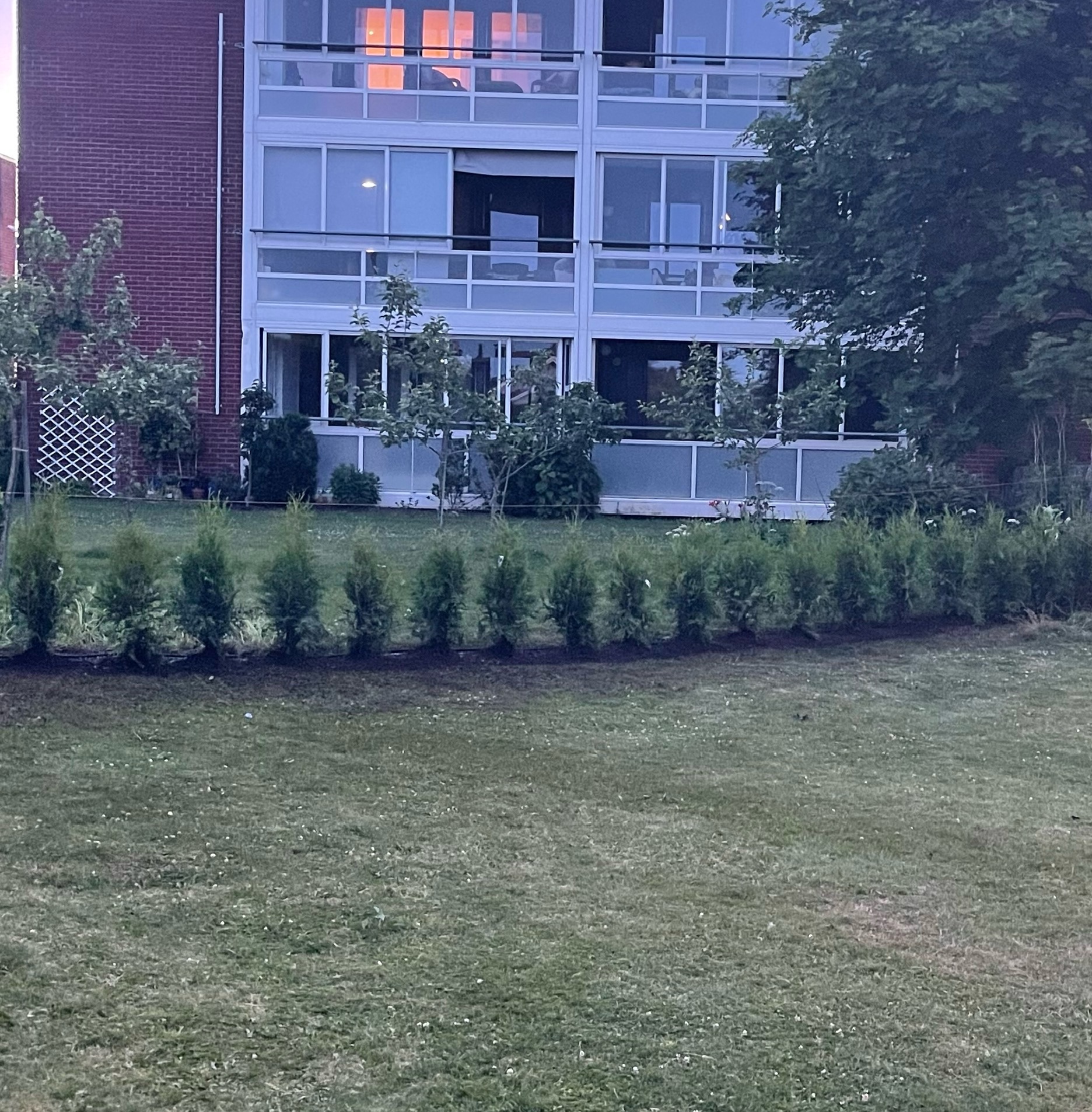 Prosjekt 1 — Planting